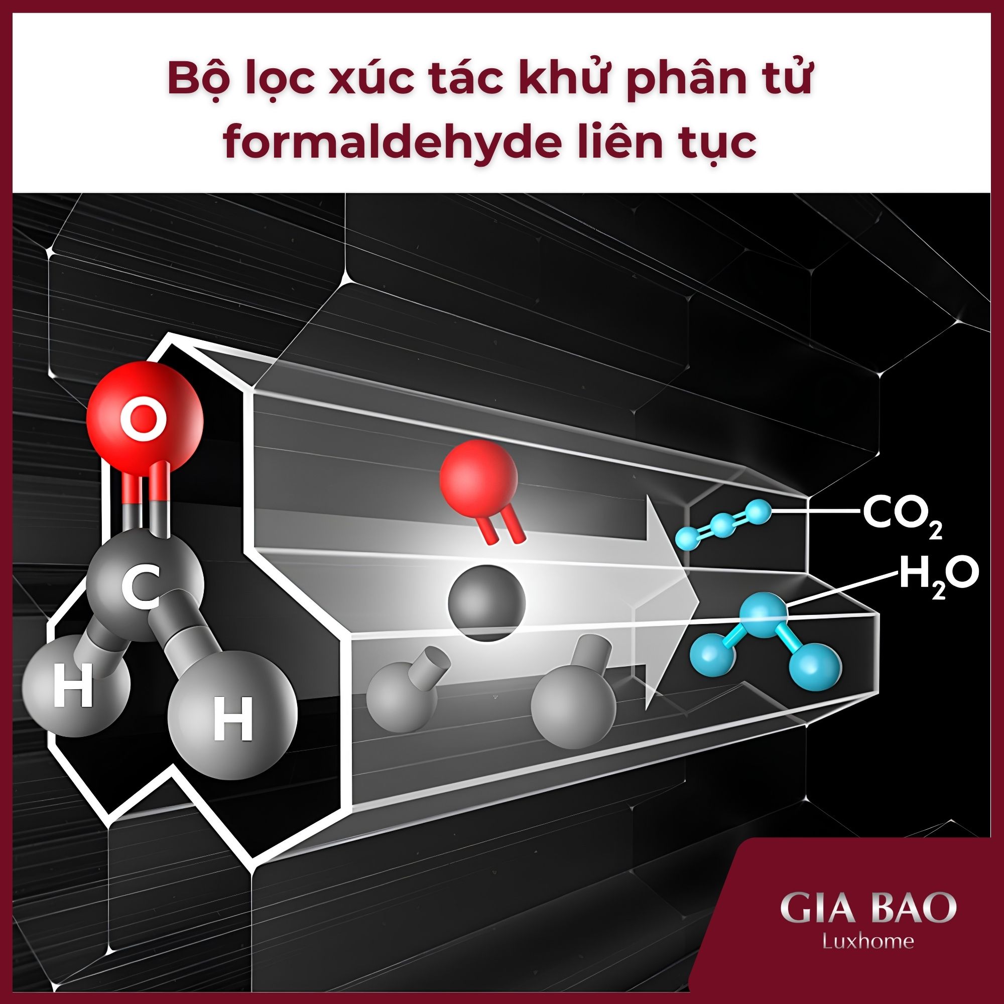 bộ lọc xúc tác phân tử