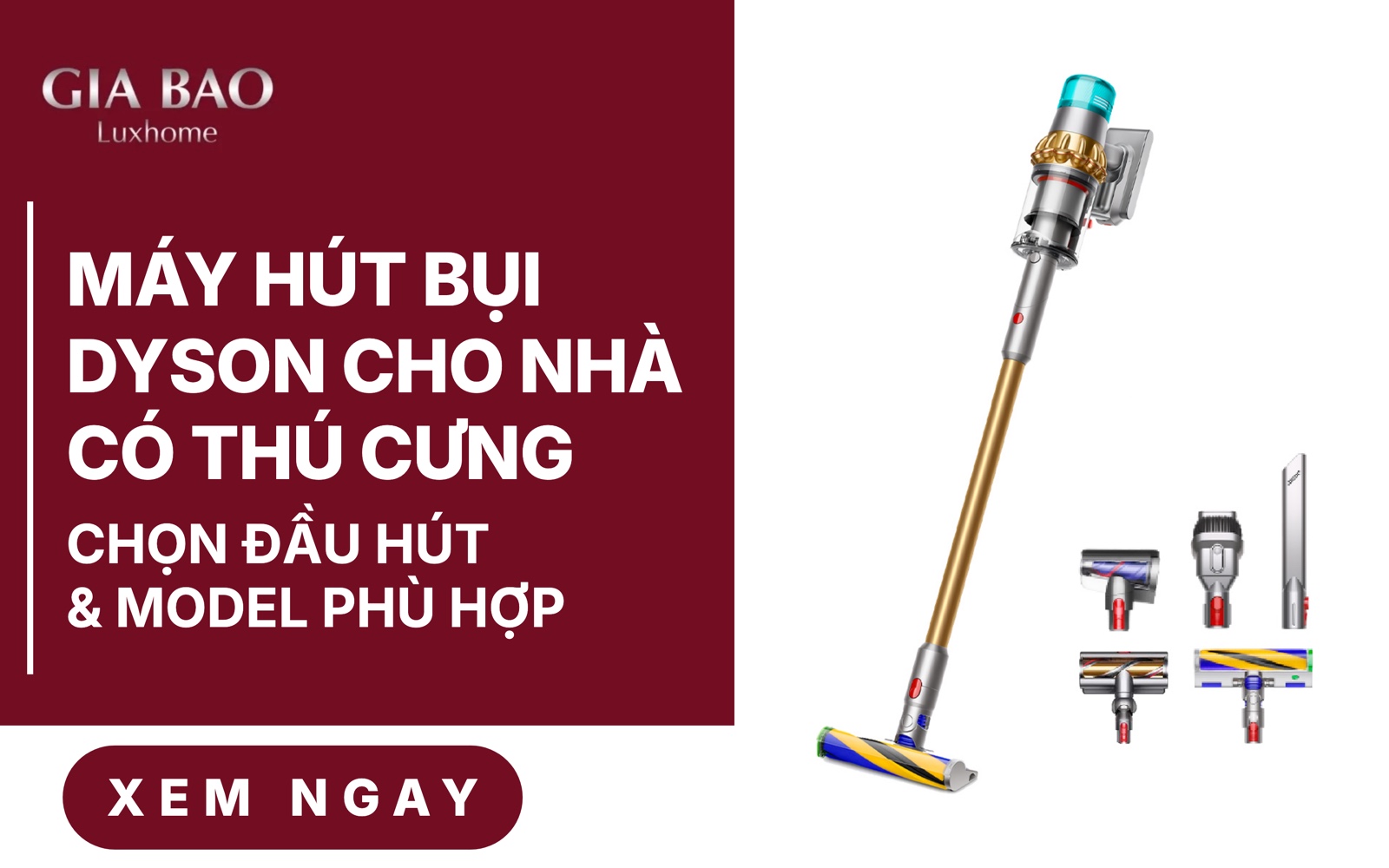Máy Hút Bụi Dyson Cho Nhà Có Thú Cưng: Chọn Model Nào?
