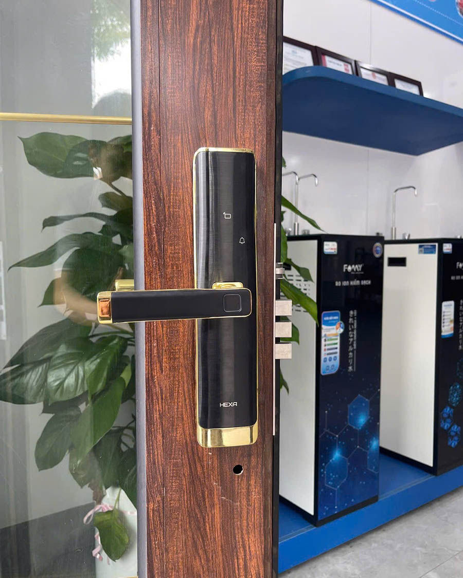 Khoá cửa thông minh Hexa L100 - ảnh 4