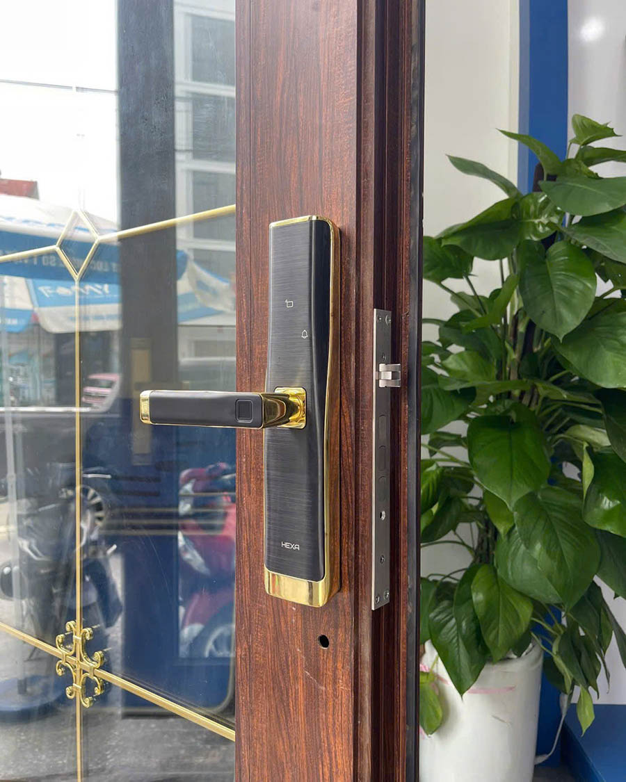 Khoá cửa thông minh Hexa L100 - ảnh 3